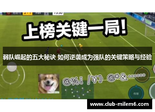 弱队崛起的五大秘诀 如何逆袭成为强队的关键策略与经验