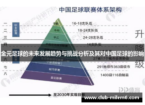金元足球的未来发展趋势与挑战分析及其对中国足球的影响